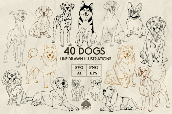 Dogs Line Art Graphics: SVG & PNG Illustrations Review