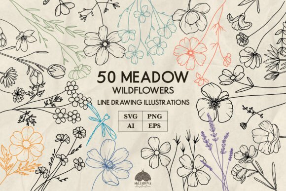 Meadow Wildflowers Graphics: Line Art Illustrations Review