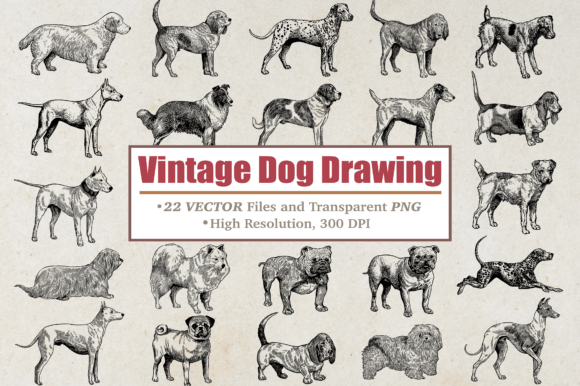Vintage Dog Graphics & Illustrations Review